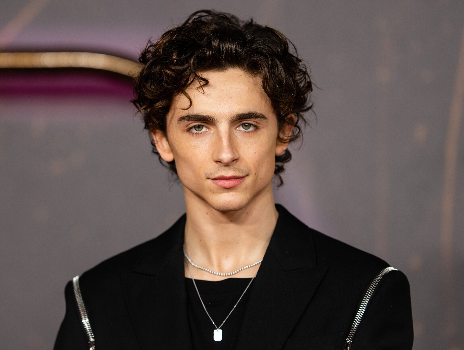 Timothee Chalamet Net Worth 2025